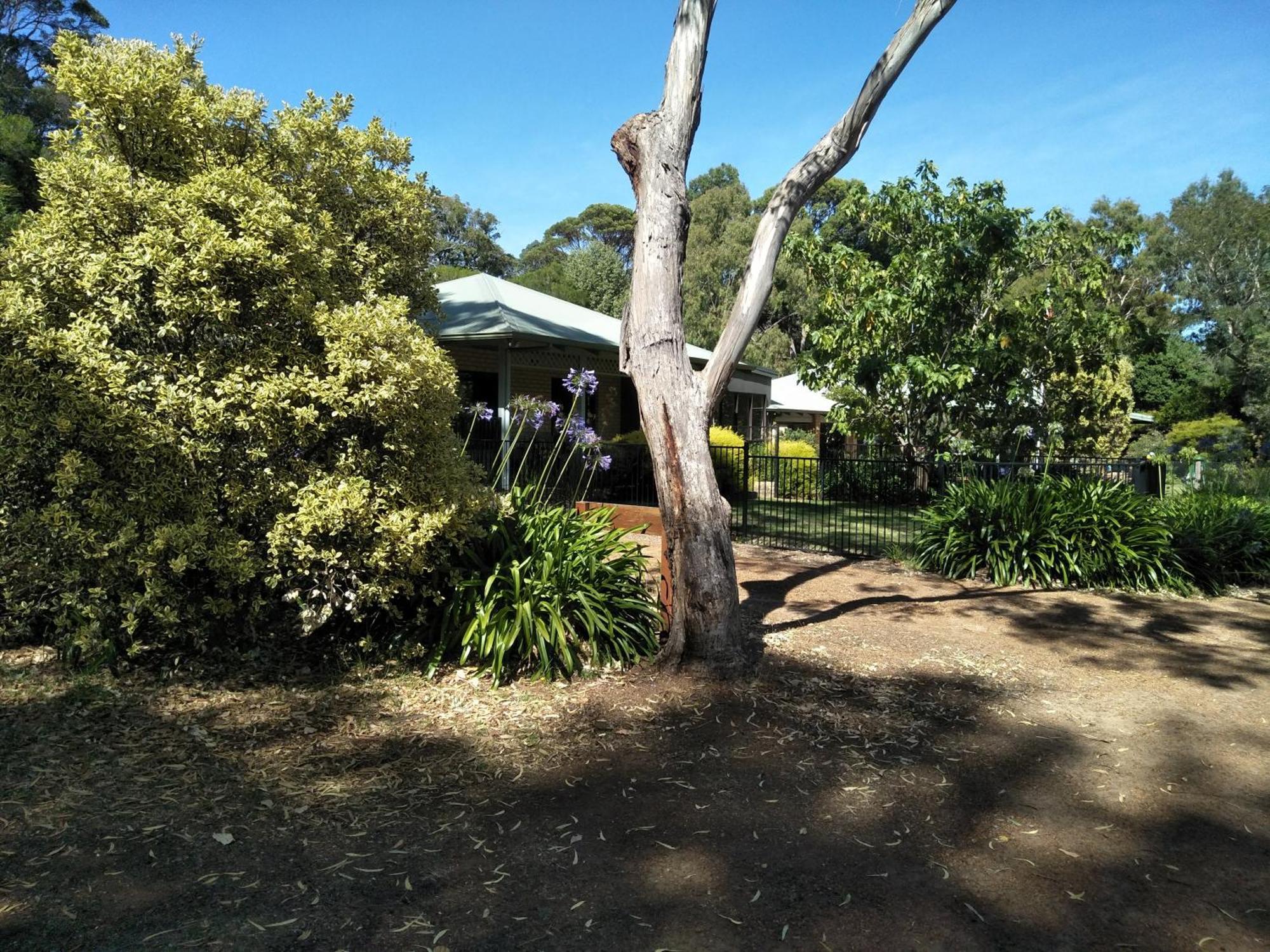 Margaret House Apartment Margaret River Exterior foto